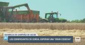 Los comerciantes de cereales esperan una "gran cosecha" - 05/06/25