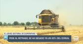 Pese al retraso, se ha segado ya un 20 % del cereal - 10/06/25