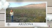 Arizona