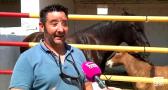 Agudo en Ciudad Real, acoge una nueva edición de su feria agropecuaria