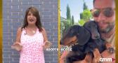 Federica y Linette, las salchichas influencers de Toledo