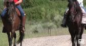 Ruta a caballo por la Dehesa de Castilseras