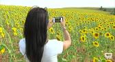 Hoy es el "Yellow Day", el día más feliz del año