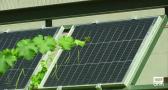 La UCLM investiga la integración de placas solares en los viñedos