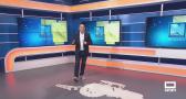 El campo - 24/06/2025