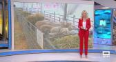Castilla-La Mancha despierta - 25/06/2025