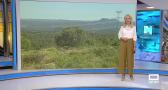 Castilla-La Mancha despierta - 26/06/2025