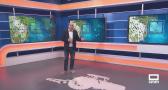 El campo - 27/06/2025