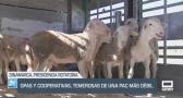 El campo - 01/07/2025