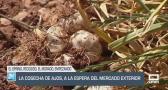 El campo - 02/07/2025