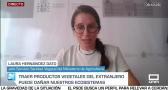 Entrevista a Laura Hernández Dato