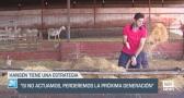 El campo - 03/07/2025