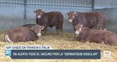 El campo - 04/07/2025