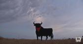 El toro de Osborne de La Sagra ya tiene su pañuelo de San Fermín
