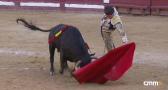 Novillada desde Motilla del Palancar (06/07/2025)