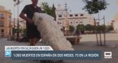 Castilla-La Mancha a las 2 - 15/07/2025