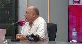 ¿Cómo afecta el cambio climático a los insectos?