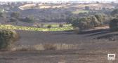 El incendio causa importantes daños en los cultivos de la zona