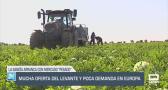 El campo - 18/07/2025