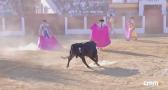 Toros desde Pozuelo de Calatrava (19/07/2025)
