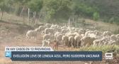 El campo - 22/07/2025