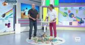 Cómo tratar la exposición al sol de nuestras mascotas