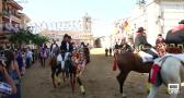 Todo a punto para disfrutar de los caballos enjaezados del Carpio de Tajo