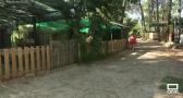 Buena propuesta veraniega en el camping de El Cañar