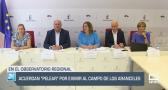 El campo - 29/07/2025
