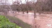 El río Henares, más limpio tras semanas de trabajo