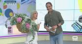 Estando Contigo (01/08/2025)