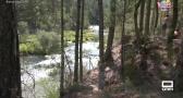 Visitar el Parque Natural del Alto Tajo, un plan para los días de calor