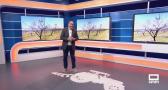 El campo - 05/08/2025