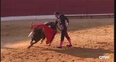 Toros desde Villacañas (10/08/2025)