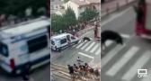 Tensión en Alcalá de Júcar durante los encierros de las fiestas