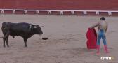 Novillada sin picadores desde Toledo (15/08/2025)