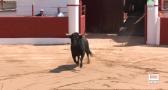 Comienzan las fiestas en Fontanar en honor a San Roque