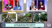 El Molino (05/04/2021)