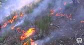 La Fiscalía pide que se investigue el plan de prevención de los municipios afectados por incendios
