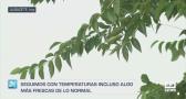 Previsión del tiempo - 21/08/2025
