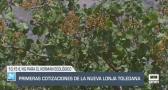 El campo - Primeras cotizaciones de la nueva lonja toledana - 21/08/2025