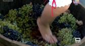Pisada de uva y degustación de uva en las fiestas de Corral de Almaguer