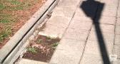 Los vecinos de Guadalajara eligen en que proyectos gastar 600.000 euros