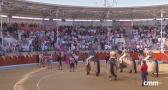 Novillada desde Villaseca de la Sagra 'Alfarero de Oro' (05/09/2025)