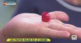 Frutos rojos en nuestro menú