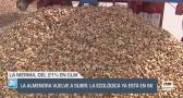 La almendra vuelve a subir, la ecológica ya está en 6 € - 08/09/2025