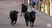 Broche de oro con el octavo encierro de Villaseca de la Sagra