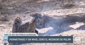 Castilla-La Mancha fin de semana a las 2 14/09/2025