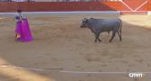 Alfarero de Oro: novillada desde Villaseca de la Sagra (09/09/2025)