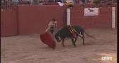 Novillada desde Sonseca (13/09/2025)